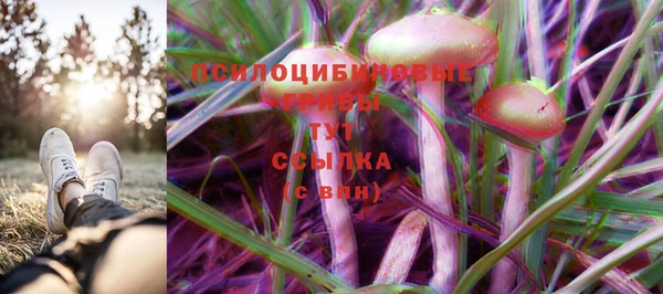 кокс Баксан