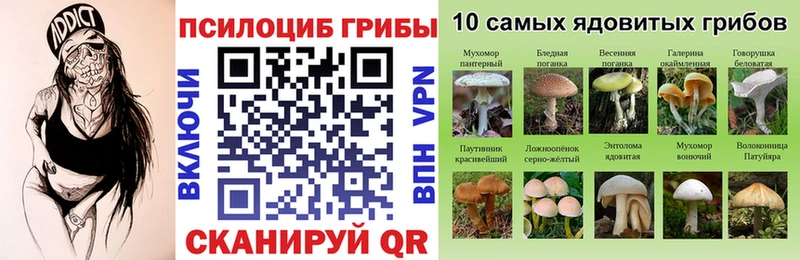 дарнет шоп  Губаха  Псилоцибиновые грибы мухоморы 