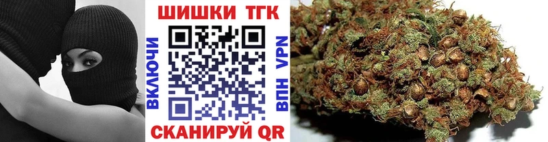 Бошки Шишки MAZAR Губаха